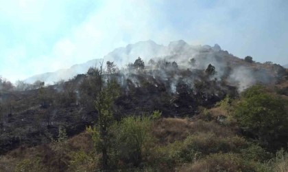 Çöpleri yakmak isterken 2 hektarlık alanı küle döndürdü