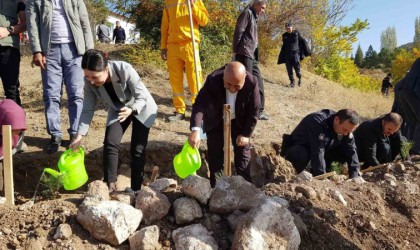 Cumhuriyetin 100üncü yılında 100 fidan toprakla buluştu