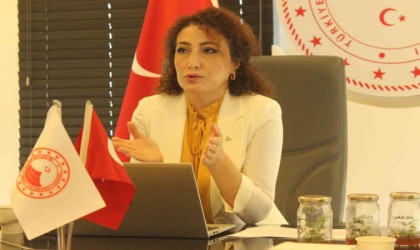 Fındık Araştırma Enstitüsünde yeni fındık çeşitleri melezleniyor