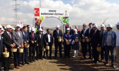 Gercüşte bağ bozumu ve gastronomi festivali