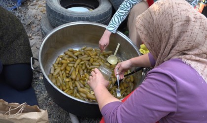 Iğdıra has patlıcan reçeli yapımı için kazanlar kaynamaya başladı