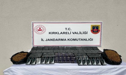 Kırklarelinde 164 bin 485 kök kenevir ele geçirildi