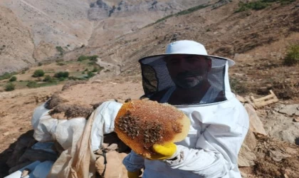 Mereto Dağı eteklerinde ürettiği balın kilosunu 2 bin 500 liradan satıyor