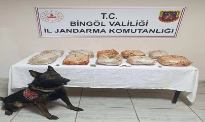 Otomobildeki salça kovaları ve patates çuvallarından 10 kilogram esrar çıktı