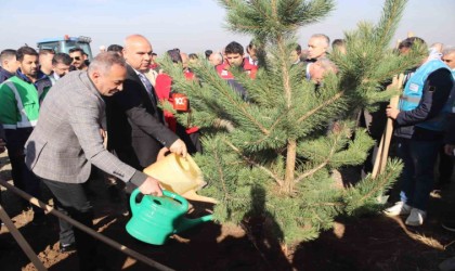 Ağrıda fidanlar toprakla buluştu