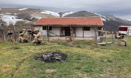 Amasyada jandarma komandolardan yayla evlerine huzur operasyonu