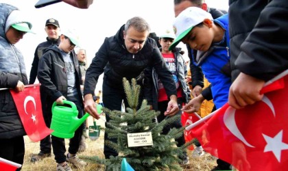 Ardahanda fidanlar toprakla buluştu