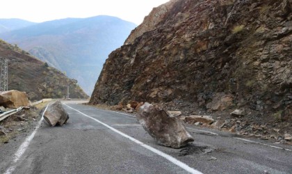 Artvin-Ardahan karayolunda heyelan