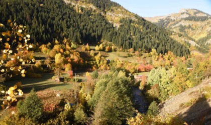 Artvin Şavşatta sonbahar renkleri havadan görüntülendi