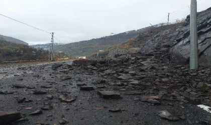 Artvin’de heyelan; kayalar yola düştü