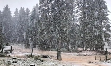 Bartın ve Zonguldakta mevsimin ilk kar yağışı başladı