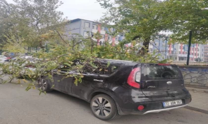 Batman’da fırtına; ağaç dalları koptu, elektrik telleri zarar gördü