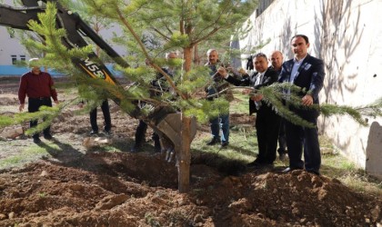 Bayburtta okul bahçeleri yeşilleniyor