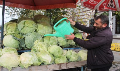 Bayburtta organik tarımla üretilen organik lahanalar tezgahta yerini aldı