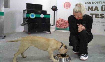 Bilecik Belediye Başkanı Subaşından köpek katliamıyla ilgili açıklama