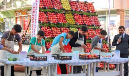 Bilecikte nar hasadı