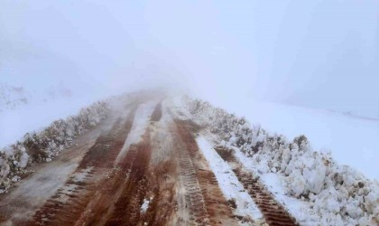 Bingölde 2 bin 500 rakımlı tepe beyaza büründü