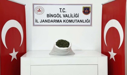 Bingölde araziye gömülü 12 kilo 550 gram esrar ele geçirildi