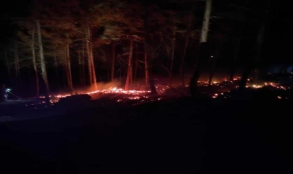 Bolu’da çıkan orman yangını söndürüldü