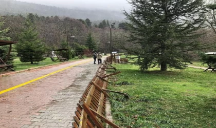 Bolu’da kuvvetli rüzgar; tabiat parkındaki ağaçlar devrildi(2)