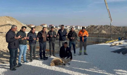 Çiçekdağı Belediyesi içme suyu çalışmasında son aşamaya geldi