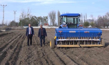 Iğdırda yerli ve milli buğday ekildi