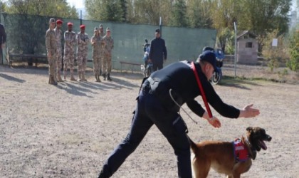 JAKEM köpekleri hünerlerini Katarlı askerler için sergilediler