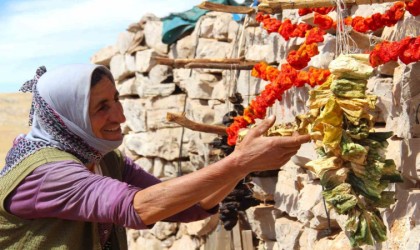 Kahramanmaraşta sebzeler kurutulup kışa hazırlanıyor