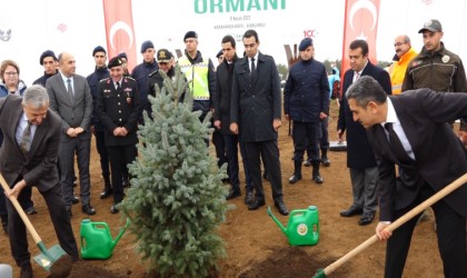 Kırklarelinde Milli Ağaçlandırma Gününde 25 bin fidan