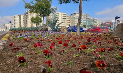 Mardinde 110 bin çiçek kavşak ve refüjlere dikildi