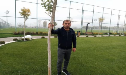 Metin Diyadin: Türk futbolunu 2-3 takım üzerine kurulu bir dizi gibi düşünebiliriz