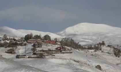 Muşta besicilerin zorlu kış mesaisi başladı