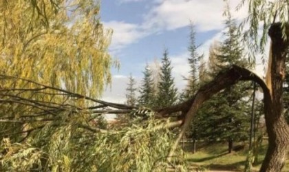 Nevşehirde çatılar uçtu, ağaçlar devrildi