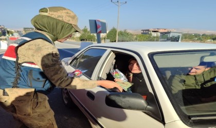 Nusaybinde jandarma ekipleri kadınlara karanfil verdi, KADESi tanıttı