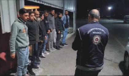 Osmaniye’de, hafif ticari araçta 6 kaçak göçmen yakalandı 