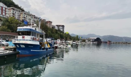 Prof. Dr. Aydın: Karadeniz’de balık stoklarımızda çöküş var