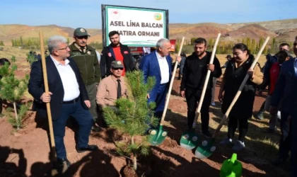 Selde ölen Asel bebeğin ismi ormana verildi; ilk fidanı annesi dikti