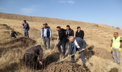 Sungurlu OSBde ağaçlandırma etkinliği düzenlendi