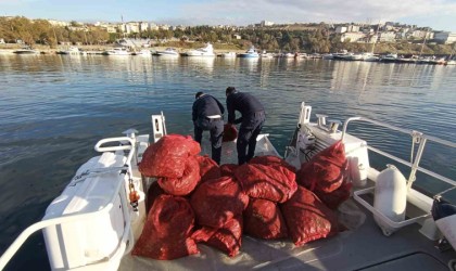 Tekirdağda 1,5 ton karakıllı midye ele geçirildi