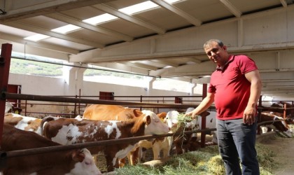 TKDK desteğiyle köyünde süt üretim çiftliği kurdu