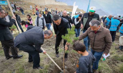 Vali Ali Çelik: Ağaçlar; yağmura ve iyiliğe karşı açılmış bir dua