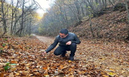 Vali Tekbıyıkoğlu, sonbahar güzelliğine bürünen Salördeki ziyaret etti