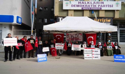 Acılı anne Necibe Çiftçi: HDP ve PKK bir oğlumu dağa kaçırdı, bir oğlumu ise infaz etti