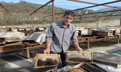 Arılarının Kafkas arısı olduğunu ispatladı şimdi de zararının ödenmesi için mücadele ediyor