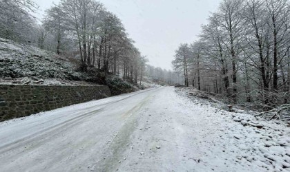 Artvinde kar yağışı nedeniyle 13 köy yolu ulaşıma kapandı