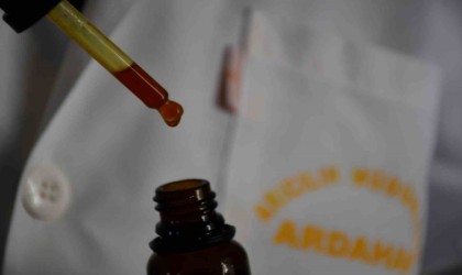 Bal arılarının ürettiği Propolis ayrıştırılıyor