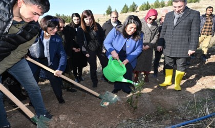 Batmanda Gazzeli şehitler anısına yüzlerce fidan toprakla buluşturuldu