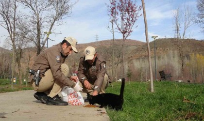 Bingölde HAYDİ ekipleri can dostları unutmuyor