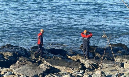 Dalgalar arasında kaybolan kadını arama çalışmaları 5. gününde devam ediyor