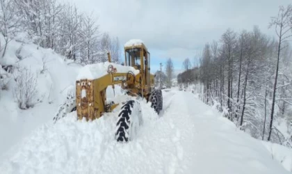 Doğu Karadeniz’de kar; 367 köy yolu kapandı